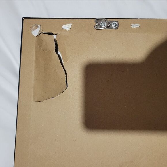 Butterfly wall art - Picture 7 of 9